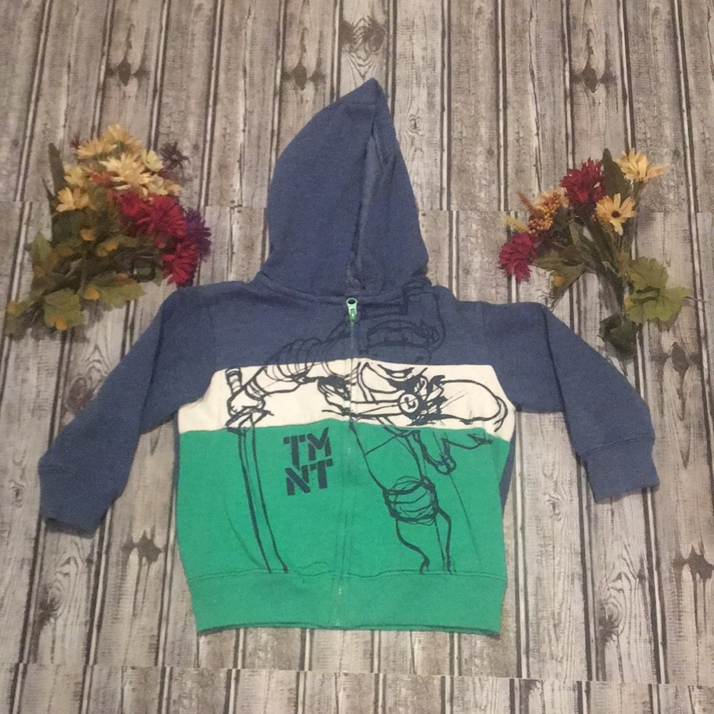 Teenage Mutant Ninja Turtles Hoodie